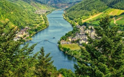 Le meilleur moment pour visiter les pays viticoles du monde entier – Explication par saison