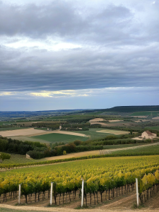 Pourquoi explorer la Bourgogne en hiver ? (Pour les paysages magiques et les vins chaleureux)