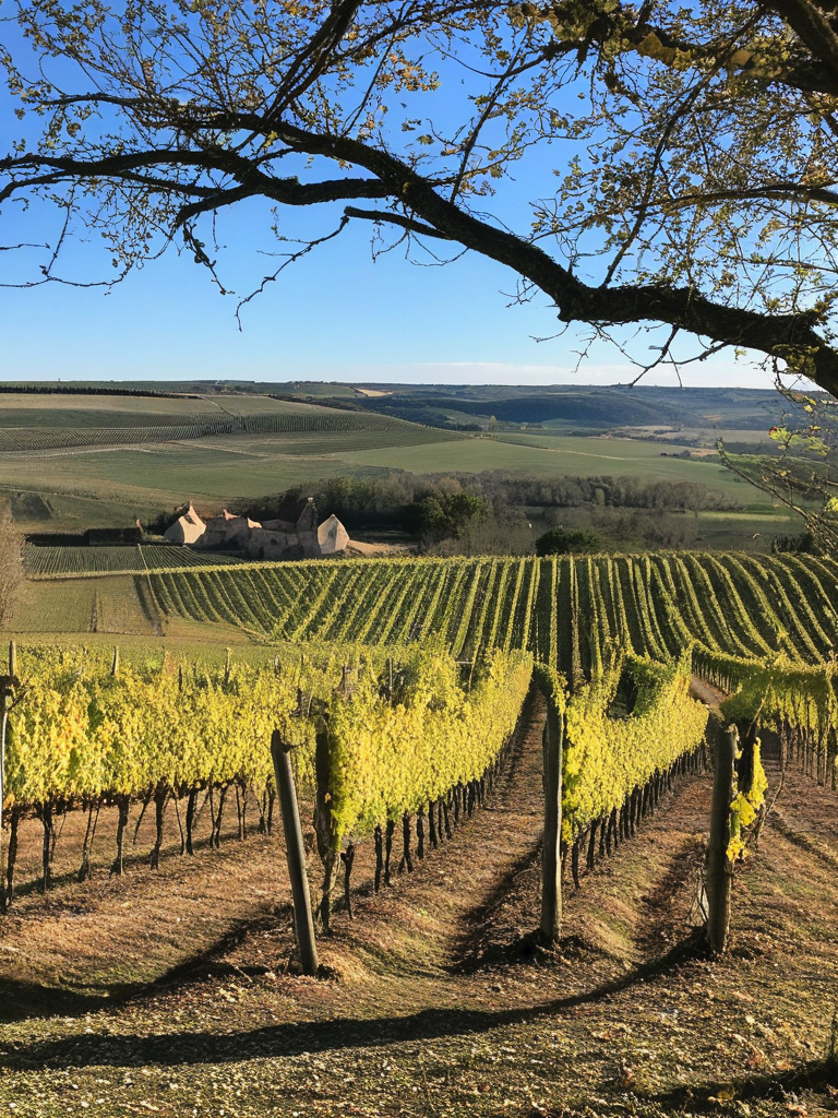 Paysages enneigés de Bourgogne