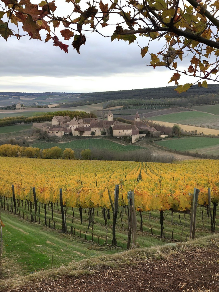 Verres de vin rouge dans une cave bourguignonne